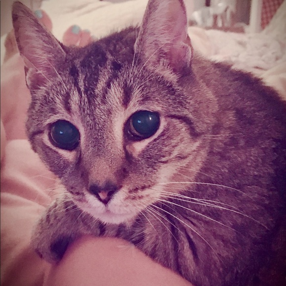 hikumi